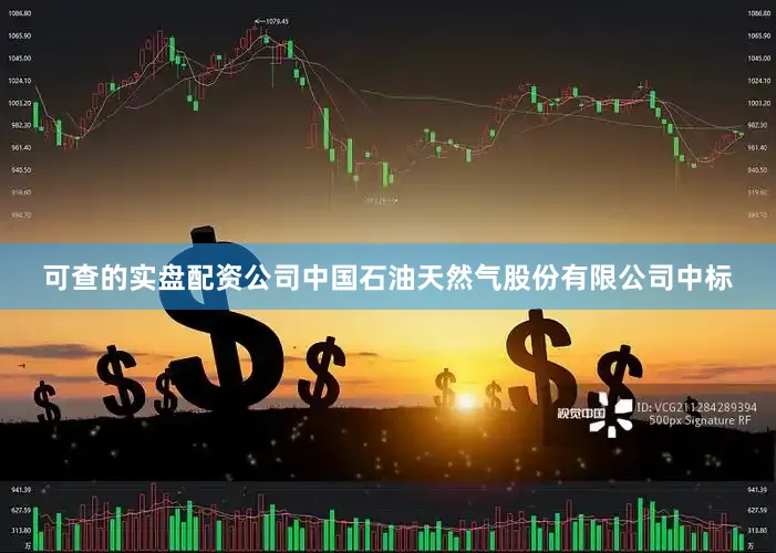 可查的实盘配资公司中国石油天然气股份有限公司中标